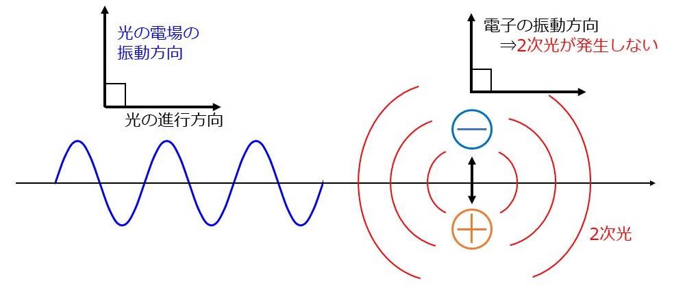 光の電場の振動方向と電子の振動方向の関係